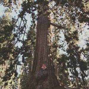 Meet your Posher, Benjamin